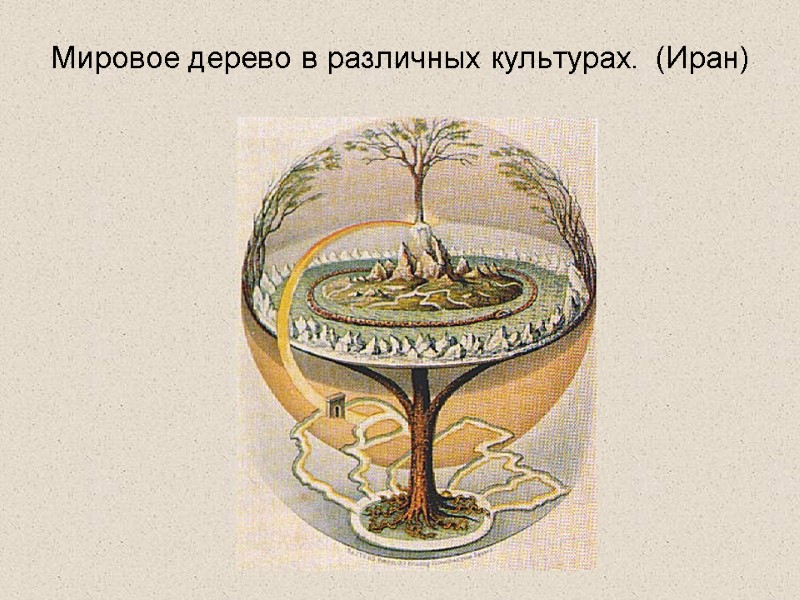 Мировое дерево в различных культурах. (Иран)